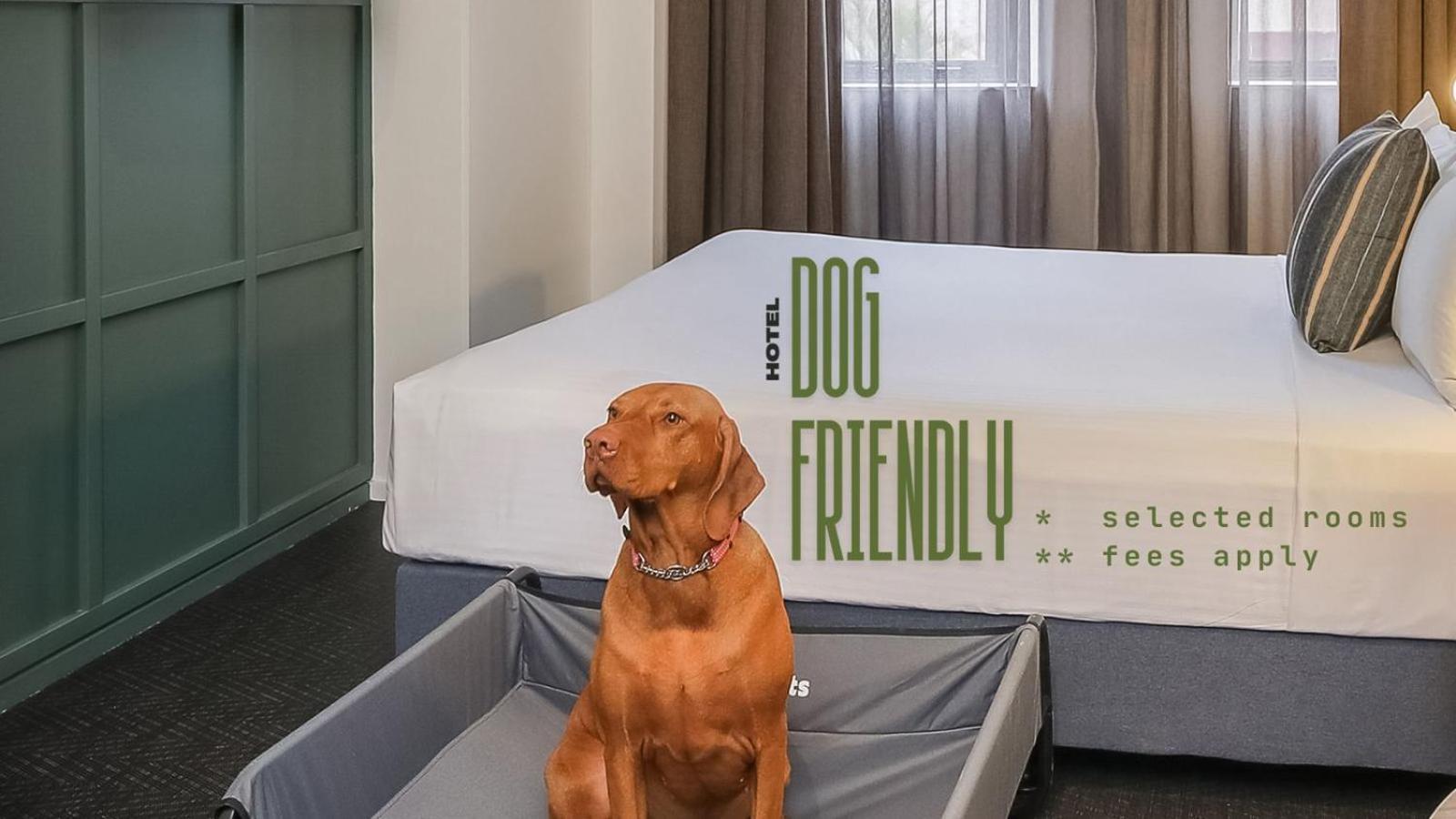 The Urban Newtown Hotell Sydney Eksteriør bilde