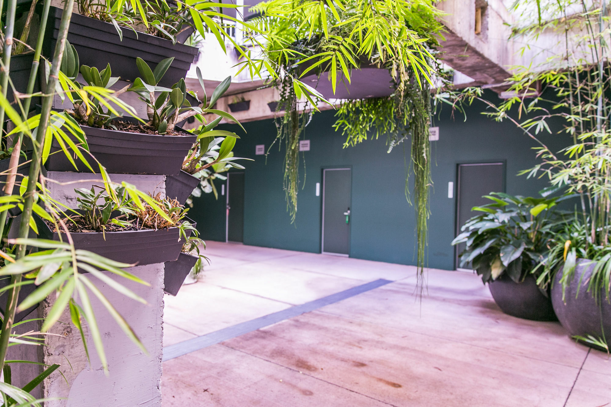The Urban Newtown Hotell Sydney Eksteriør bilde